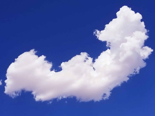 Quelle est la marche à suivre pour bien dispenser des cours particuliers de français ?